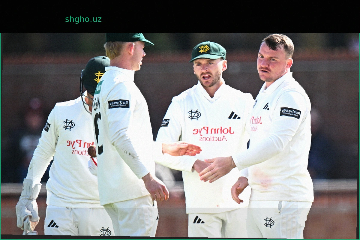 Patterson-White six-for has Essex on the rack