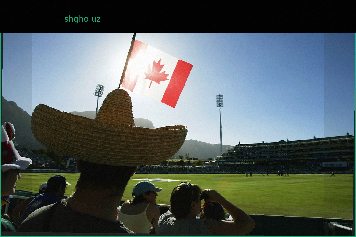 ICC Приостановил Финансирование Cricket Canada Из-за Проблем с Управлением