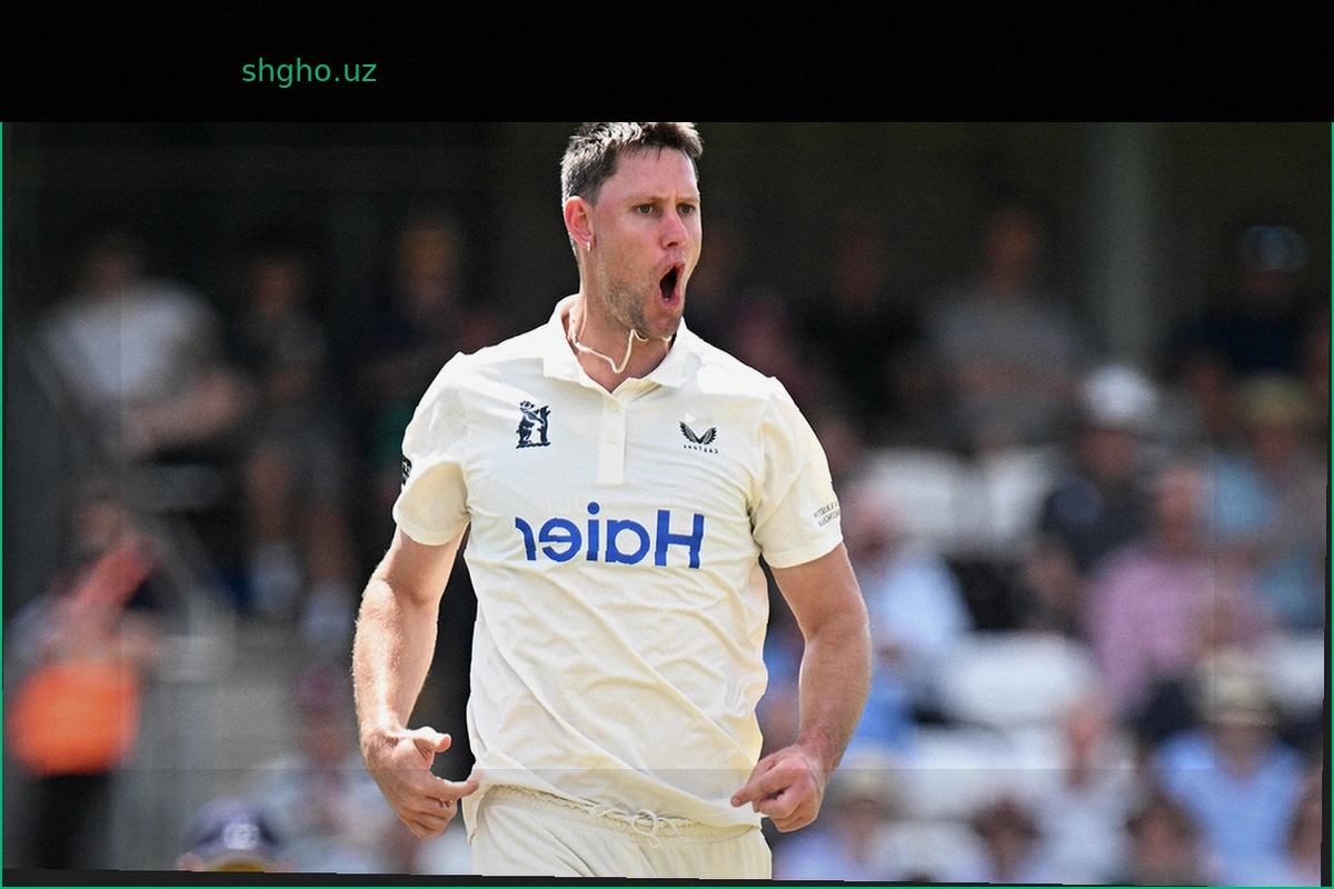 Beau Webster's four-wicket burst puts Warwickshire on top