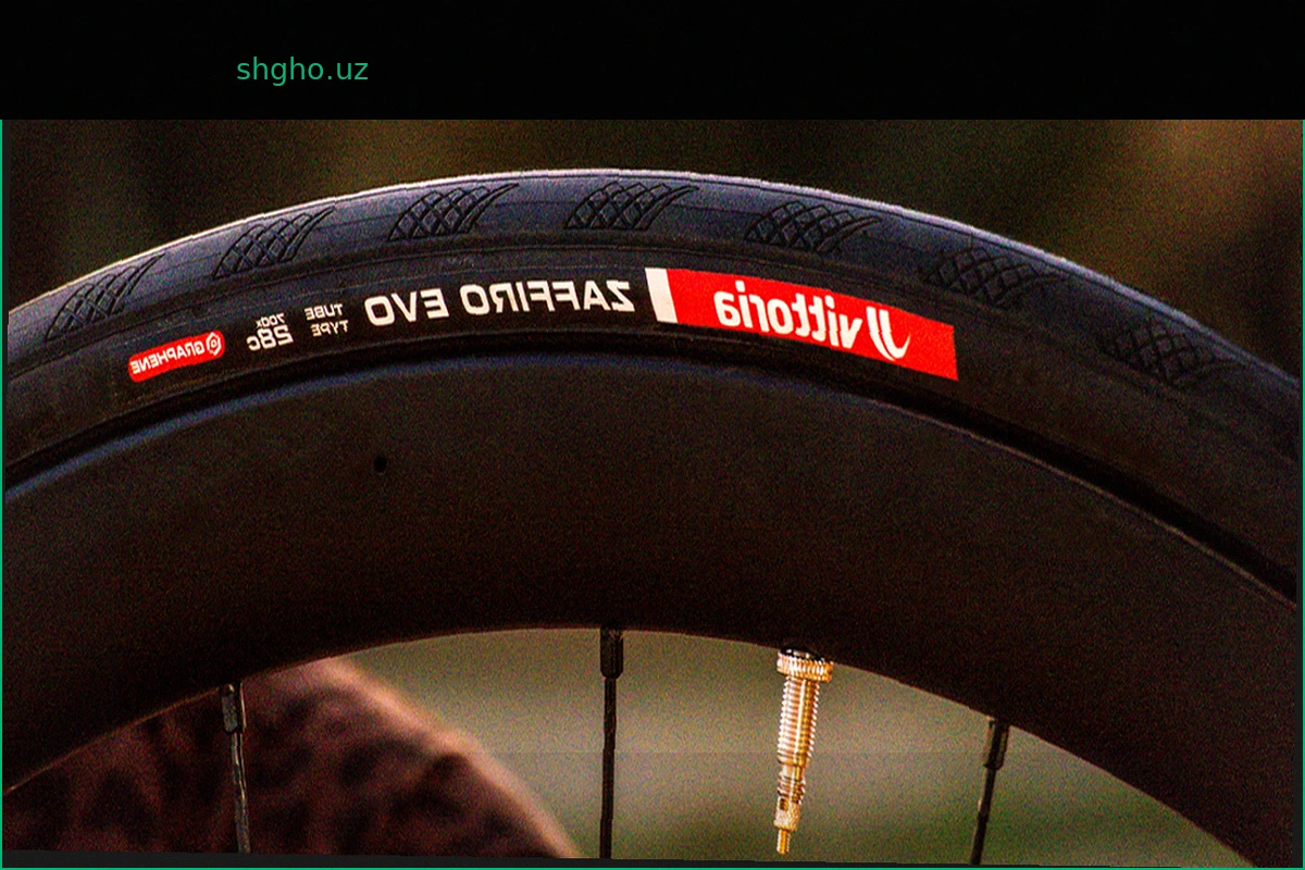Vittoria Zaffiro EVO: Очередная Эволюция
